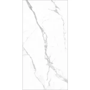 Керамогранит Eurotile Ceramica Statuare 903 160х80 см